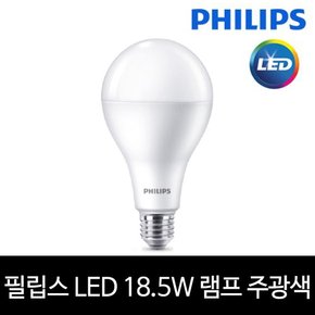 필립스 LED 18.5W 전구 램프 E26 주광색 하얀빛