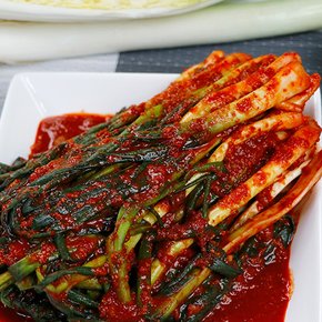 맵따구 불김치 매운 실비 파 쪽파 별미 맛있는 전라도 광주 김치