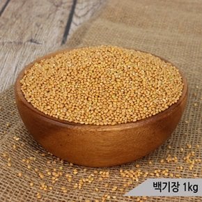 건강알곡 백기장 1kg 앵무새 햄스터 모이 간식 사료