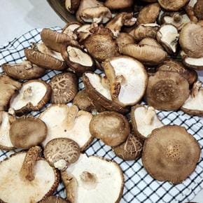 못난이 국산 표고 버섯 3kg 못난이버섯 생 표고 버섯 파지 못난이표고버섯 생버 (S43998654)