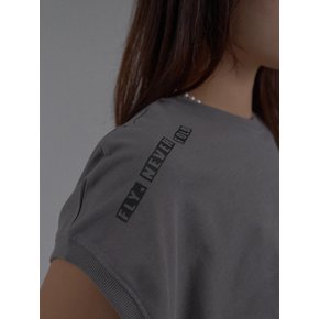 Dropped Shoulder Lettering Crop T-Shirt_Gray