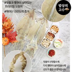 동해안 당일바리 구룡포 마른 오징어 5마리 건조 배 425g