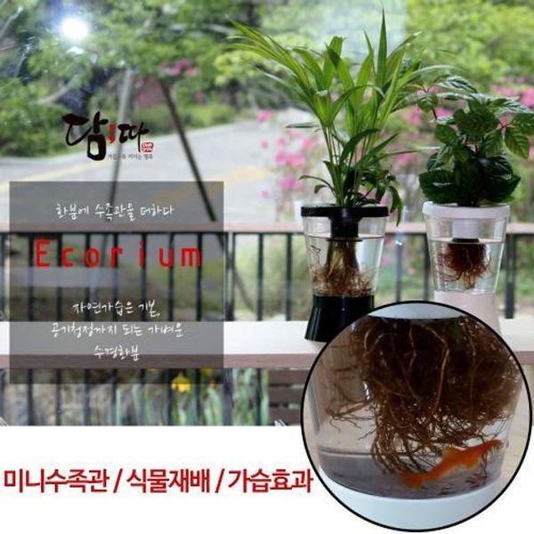 이미지1