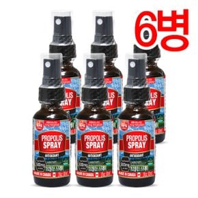 [통라이프] 플라보노이드637mg- 프로폴리스 스프레이30ml 6병