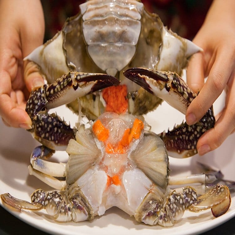 맛수러움] 안면도 봄 제철 생물 암꽃게 냉동 꽃게 1Kg, 믿고 사는 즐거움 Ssg.Com