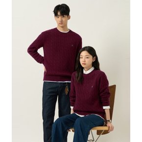 빈폴 멘 Essential 남녀공용 케이블 라운드 니트 와인 BC5951E05Z 5338579