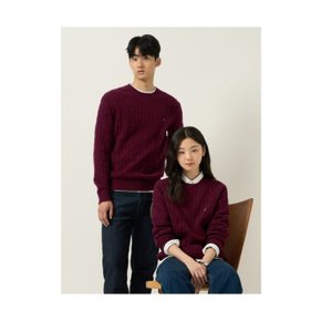 빈폴 멘 Essential 남녀공용 케이블 라운드 니트 와인 BC5951E05Z 5338579