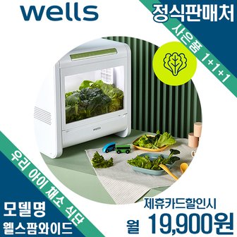 교원웰스 [렌탈] 웰스팜 우리 아이 채소 식단 패키지 12모종 월32900원 2년약정