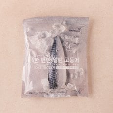 [냉동][노르웨이] 동원 한 번만 얼린 고등어 (1kg)