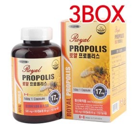 캐나다직수입 로얄 프로폴리스 500mg*180캡슐 3BOX