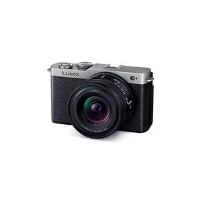 (Panasonic) DC-S9N-S 파나소닉 풀 사이즈 미러리스 일안 카메라 루믹스 광각 줌