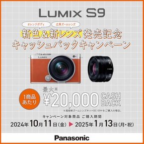 (Panasonic) DC-S9N-S 파나소닉 풀 사이즈 미러리스 일안 카메라 루믹스 광각 줌