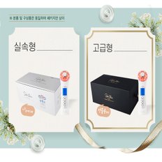 [스킨어블] 트루솔루션 초음파 LED 갈바닉 마사지기 고급형