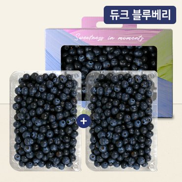 라라르떼 블루베리 800g 선물패키지