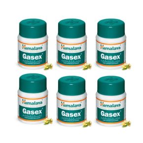 인도 히말라야 가스엑스 Gasex 100정 X 6세트  소화개선