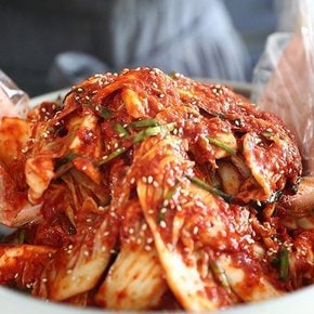 배추 매운 실비 겉절이 1kg