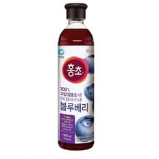 홍초 블루베리 900ml(기능성)