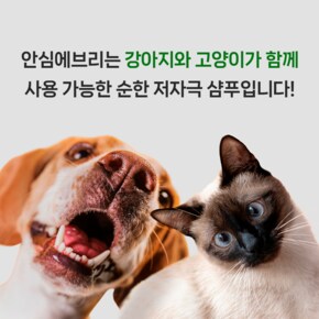 저자극 순한 강아지 고양이 겸용 샴푸 발세정 베이비파우더향 안심에브리 500ml