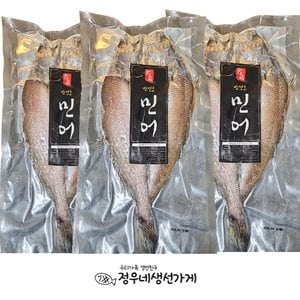  정우네생선가게 국내산 목포 여수 반건조 민어 3미 (각 240g 이상, 대 사이즈)