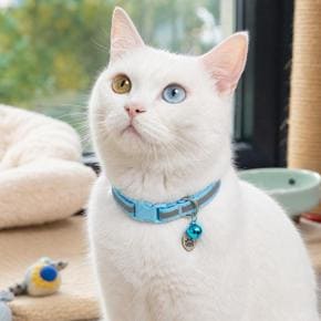 마마픽스빛반사 고양이목걸이 사이즈조절 인식표PET