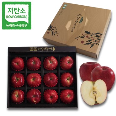  경북 영주 당도선별 프리미엄 사과 선물세트 5kg (12과 내외) GAP 저탄소인증 산지직송