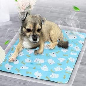 쿨매트 냉수매트 쿨방석 시원한 강아지 고양이 냉각젤 애견쿨 여름