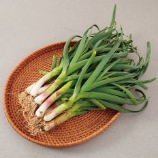 농부마음 [산지직송] 구례댁 지리산 풋마늘 500g
