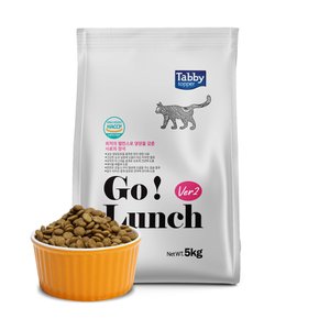 테비 고(Go)런치 고양이사료 5kg