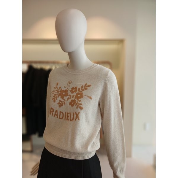 [여주점] 씨씨콜렉트 프린팅포인트풀오버 E261ksk101