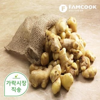 팸쿡 가락시장직송 생강 300g