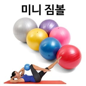 다이어트 미니짐볼 20cm/25cm/30cm 요가 스트레칭