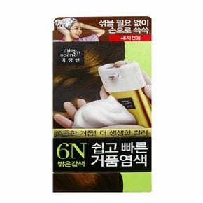 쉽고빠른 거품염색 6N 밝은갈색 미쟝센 염색약 (W978D34)