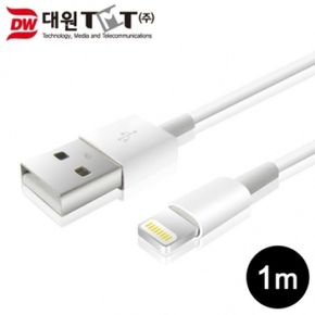 대원티엠티 USB 스몰 커넥터 8핀 데이터 충전 케이블