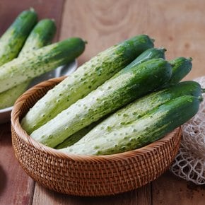 아삭아삭 백오이 (특) 1kg