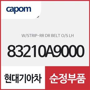 리어 도어 벨트 아웃사이드 웨더스트립 (고무몰딩), 운전석쪽 (83210A9000) 카니발