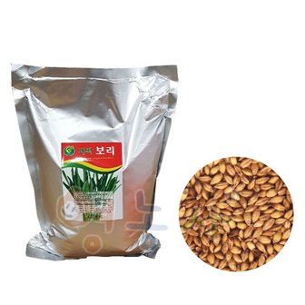 영농사 새싹 보리씨앗 1kg/보리싹 재배 종자