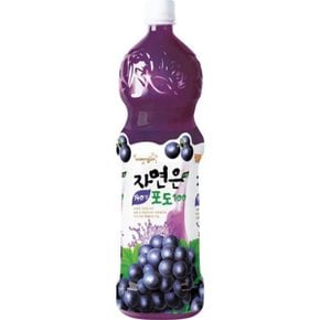 자연은 포도 1.5L PET 웅진_WB4179B