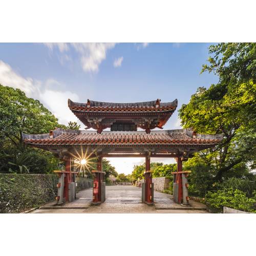 상품이미지10