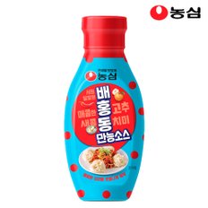 농심 배홍동 만능소스 300g x 2개_