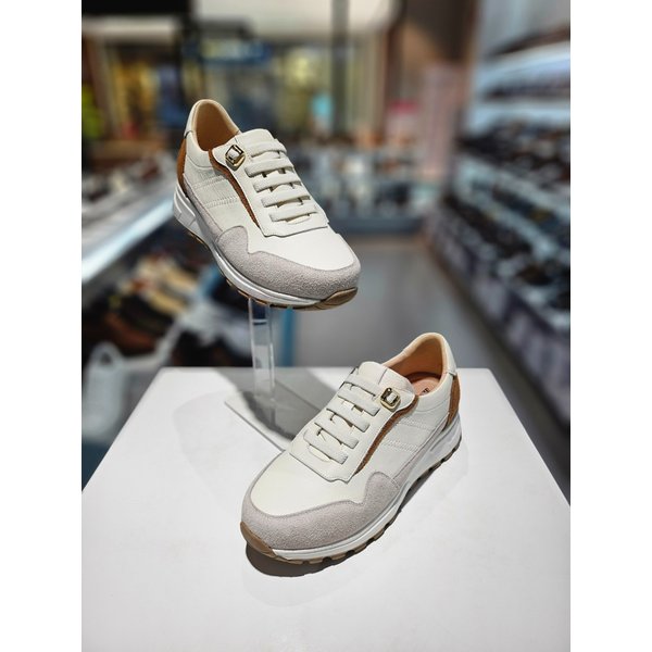 [파주점] 미셸 by 탠디 여성스니커즈 기높이5cm 운동화  x25055g