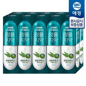 2080 유칼립투스 진지발리스 치약 150g x10개