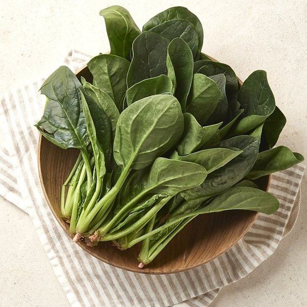확대된 대표 image1