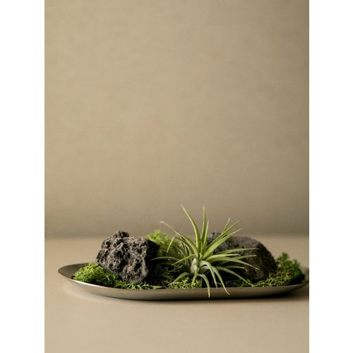 Add Image 2