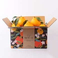 [유명산지]서귀포 고당도 한라봉 2kg 12과내외 중소과 (2개구매시 4.5kg 발송)