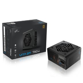 FSP VITA GM 750W 80PLUS GOLD ATX3.1 파워 (ATX/750W)