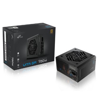 아이코다 FSP VITA GM 750W 80PLUS GOLD ATX3.1 파워 (ATX/750W)