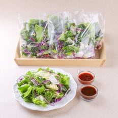 팜에이트 싱싱한 1일 1샐러드키트 400g (80g*5, 소스 증정)