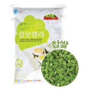 닥터브레인 기능성컬러쌀 클로렐라 찹쌀 1kg