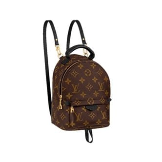 LOUIS VUITTON 팜 스프링스 미니 백팩 모노그램 M44873 M44873