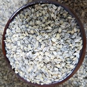 국내산 검정보리 1kg